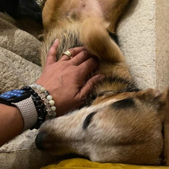 Dahni giving Reiki to a Dog